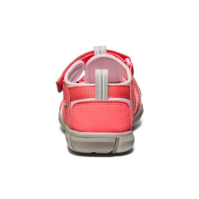 Big Kids' Seacamp II CNX  |  Dubarry/Giggle Pink