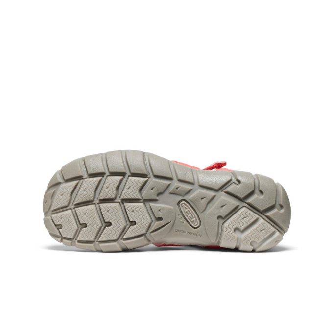 Big Kids' Seacamp II CNX  |  Dubarry/Giggle Pink