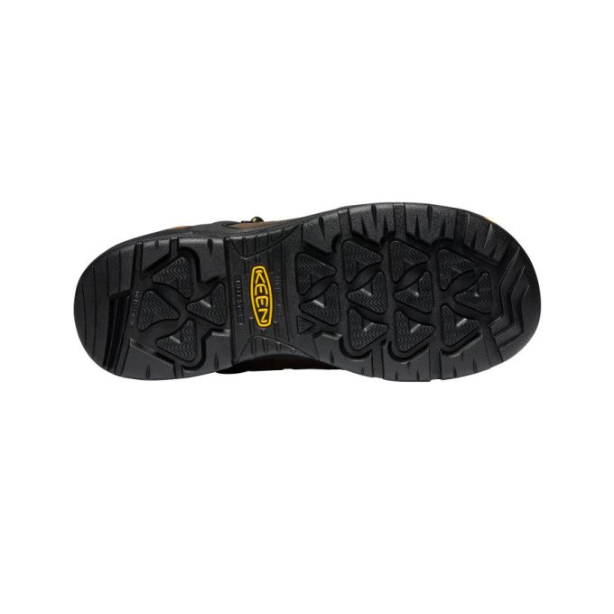 Men's Dover 8" Insulated Waterproof Boot (Carbon Toe)  |  Dark Earth/Black