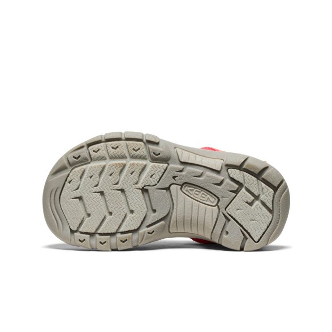 Little Kids' Newport Boundless Sandal  |  Dubarry/Evening Primrose